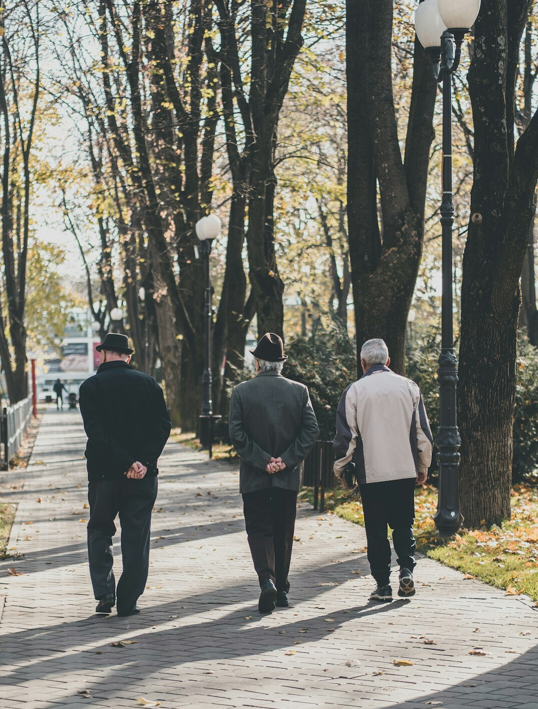 Group of seniors walking together in a park