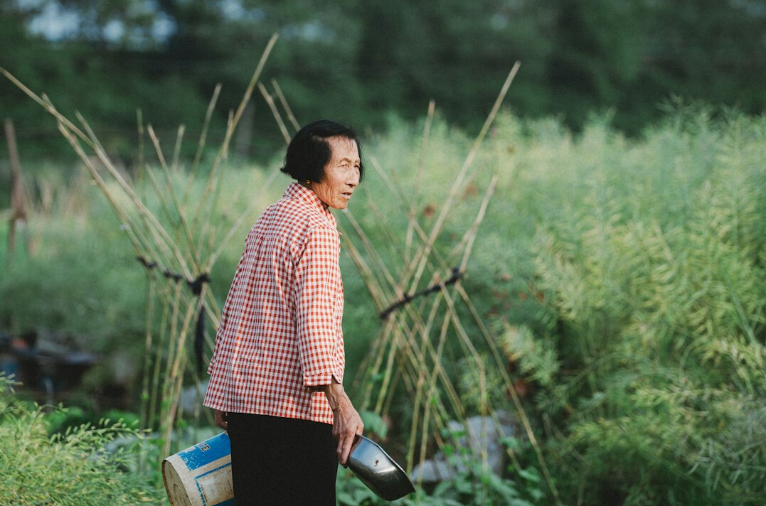 Seniors gardening together in raised community garden beds